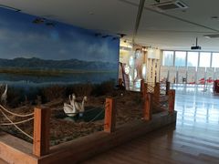 -延庆地质公园博物馆