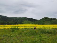 -墨石公园景区