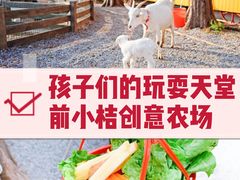 -前小桔亲子创意农场·草莓采摘·露营烧烤