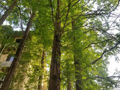 -一尺花园(安和花园店)