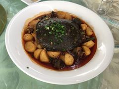 -洪湖家庭农场·团建·露营·会议
