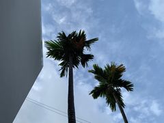 -亚龙湾国际玫瑰谷
