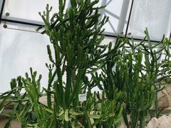 -北京植物园南门售票处