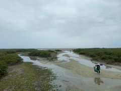 -北海金海湾红树林生态旅游区