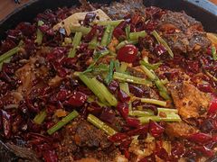 -老板恋上鱼(恒隆广场店)