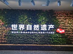 -张家界荷花国际机场