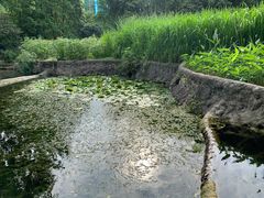 -成都市活水公园