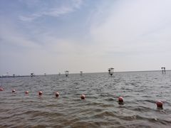 -碧海金沙