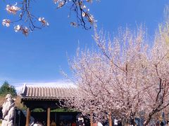 -春风习习