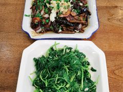-老马家·舌尖上的西塘美食