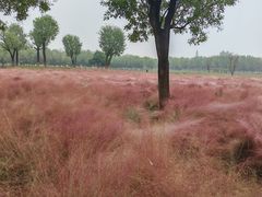 -汉长安城未央宫国家考古遗址公园