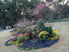 -杭州植物园