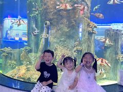 -福州罗源湾海洋世界旅游区