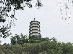 -深圳国际园林花卉博览园