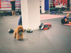 -FIGHTMAN格斗俱乐部(长宁临空店)