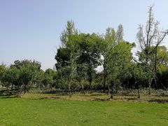 -昆山城市生态森林公园