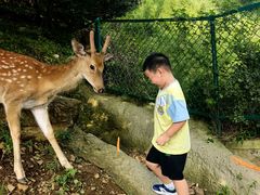 -大连森林动物园