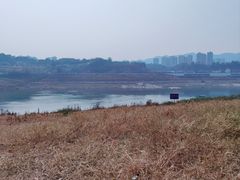 -金海湾滨江公园