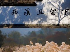 -杭州西溪喜来登度假大酒店