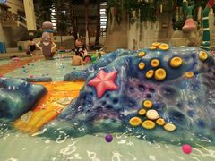 -南宫温泉水世界