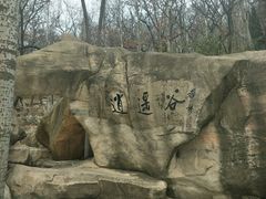 -石老人观光园