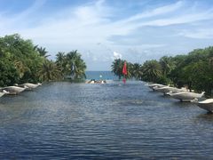 -亚龙湾喜来登·美景台大堂吧