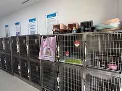 -派美特宠物医院·核磁CT·骨科肿瘤·疑难转诊(沈农禾丰店)