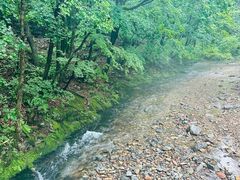 -关门山森林公园