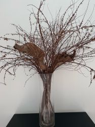 -无界瑜伽普拉提