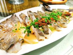 秘制清蒸黄花鱼-老号海仙酒家(英雄山路店)