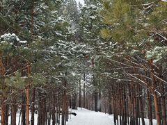 -北极村旅游风景区