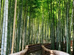 -怀德酒楼·粤菜·海鲜·茶点(宝安国际机场店)