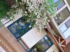 -Cafe Villa
