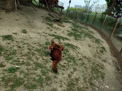 -常州淹城野生动物世界