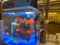 -海底捞火锅(武胜路凯德广场店)