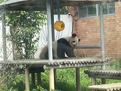 -苏州太湖国家湿地公园