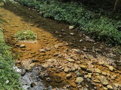 -凤栖山
