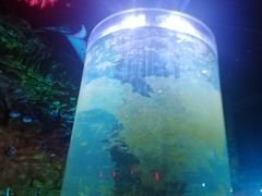 -青岛嘉年华主题乐园