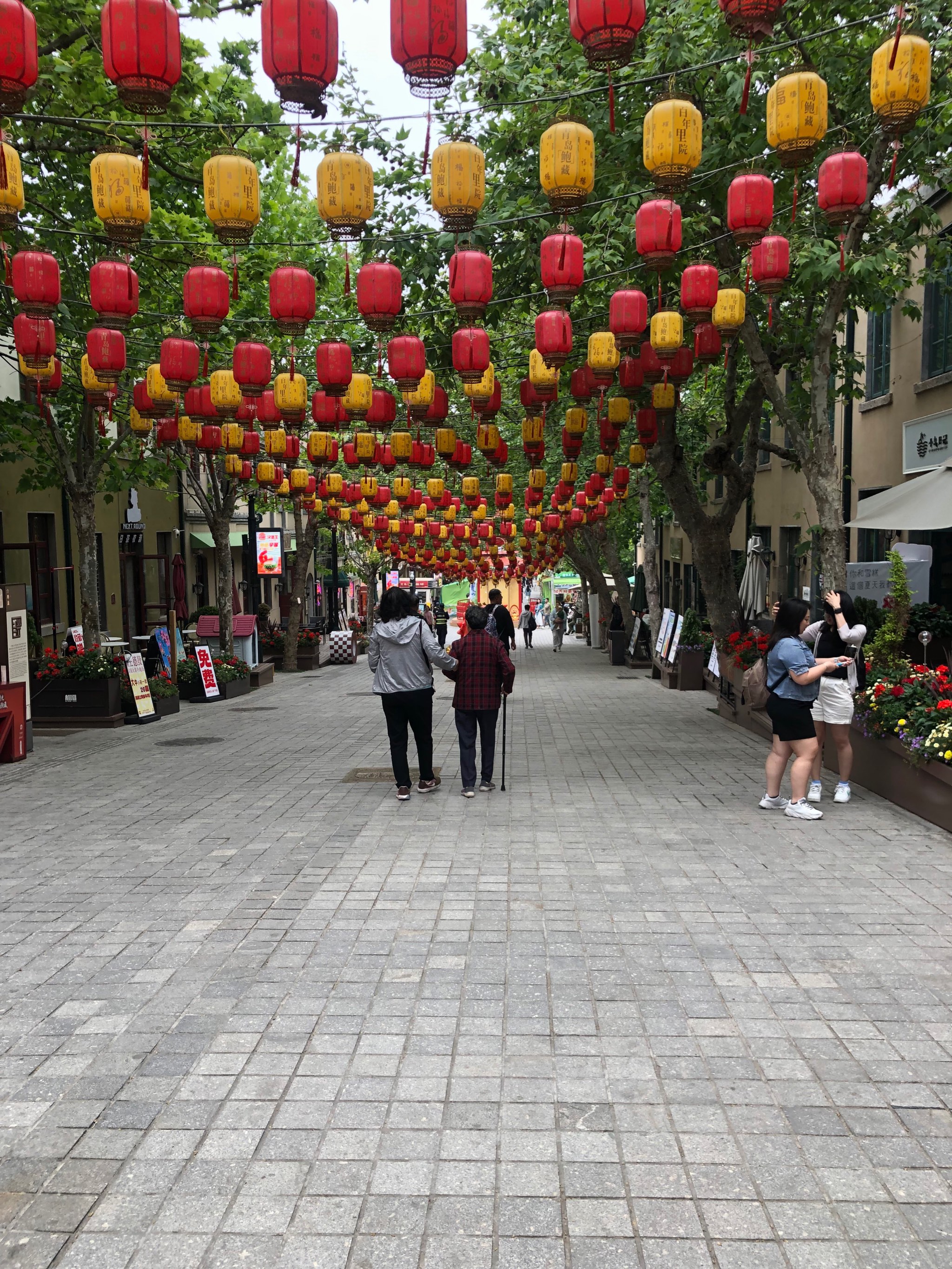 青岛波螺油子图片图片