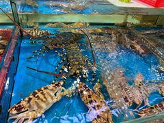 -四川小胡子海鲜(丁村万人海鲜广场店)