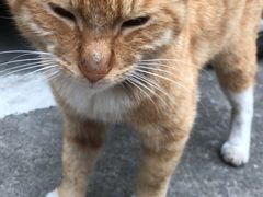 -申鑫大厦