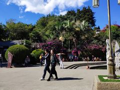-南诏风情岛