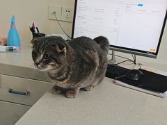 -佳雯宠物医院·皮肤科·内外科(春晓路分院)