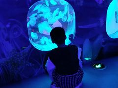 -芜湖新华联大白鲸海洋公园