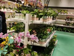 -盒马X会员店(上海森兰商都店)