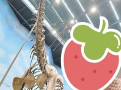 -辽宁古生物博物馆