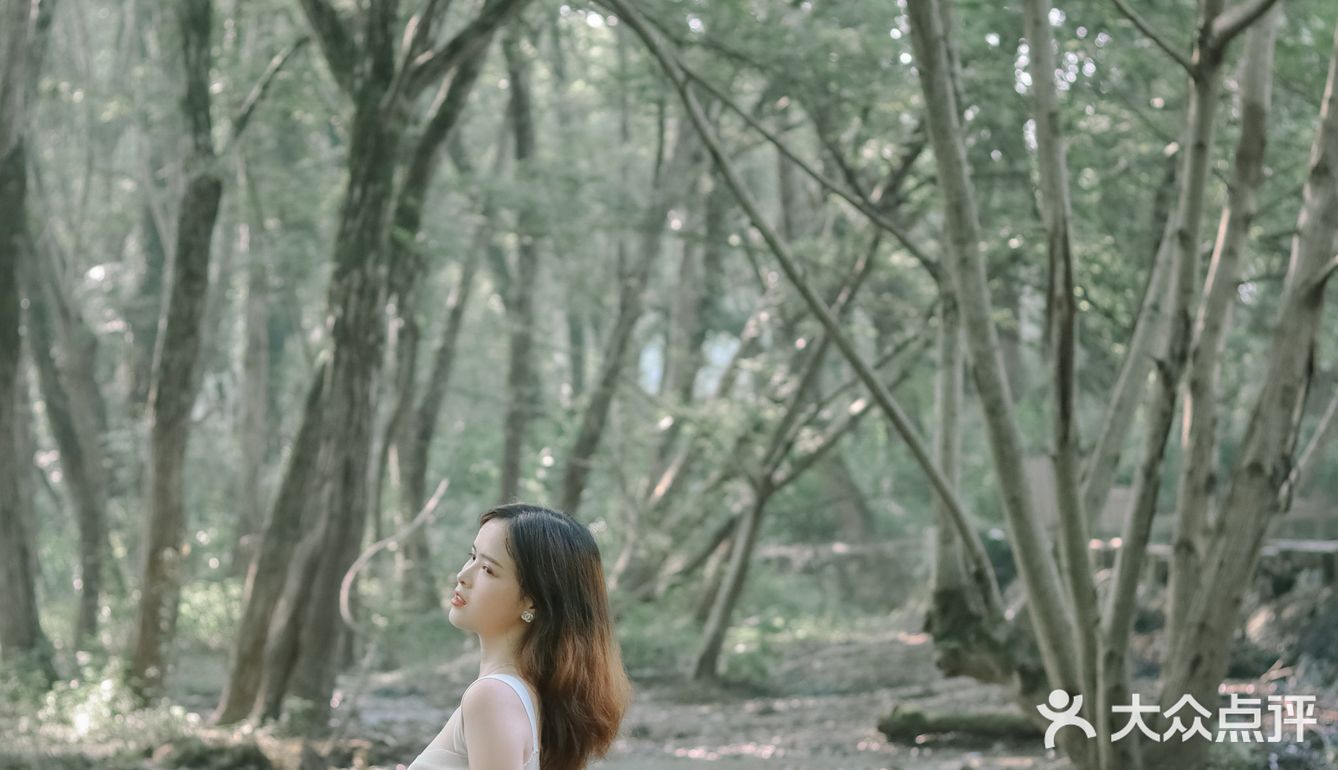 黄山·西溪南古村落 | 闯入童话中的绿野仙踪