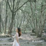 黄山·西溪南古村落 | 闯入童话中的绿野仙踪