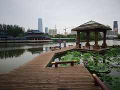 -雁滩公园