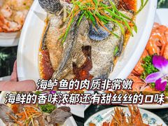 -椰梦长廊